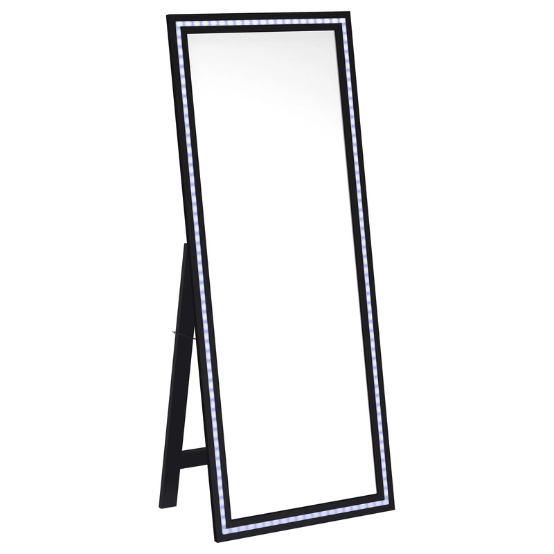Windrose Standing Mirror with LED Lighting
