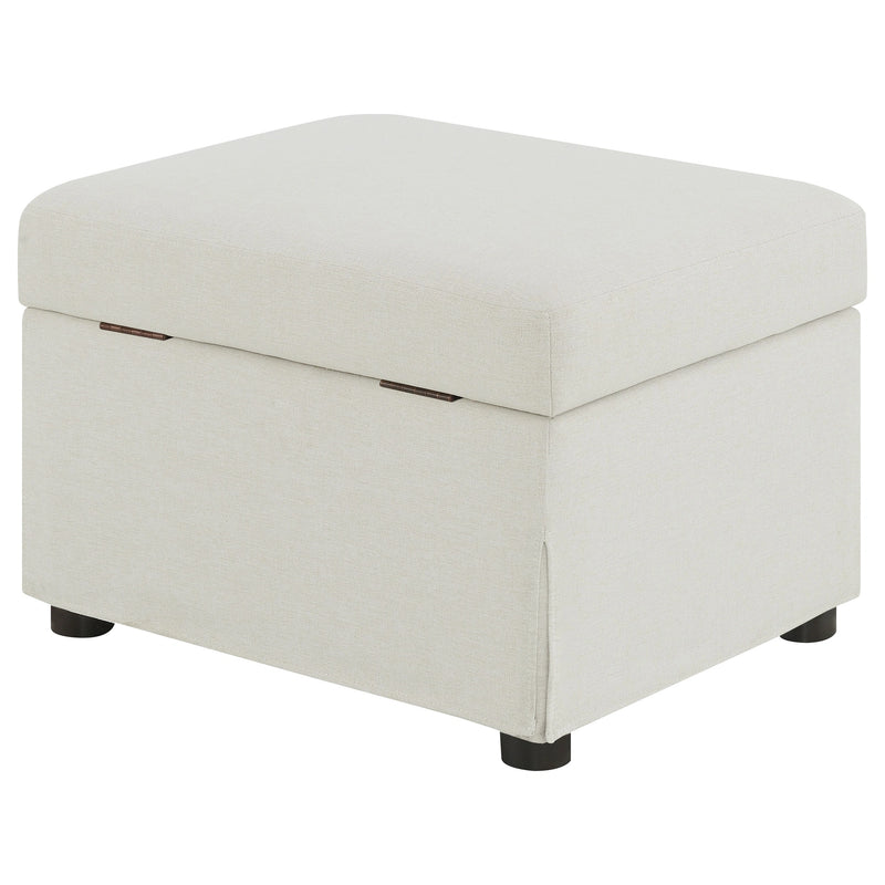 Winter Storage Ottoman